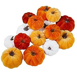 orange velvet pumpkins