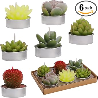 succulent candles