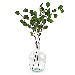 clear vase