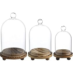 glass dome for candle
