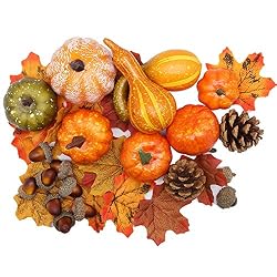 pumpkins set