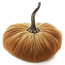 velvet pumpkin