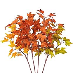 fall leaf stems