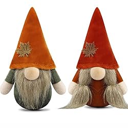 fall gnomes