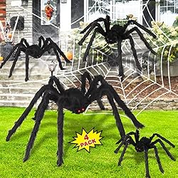 large spiders
