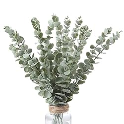 eucalyptus stems