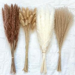 dried pampas grass