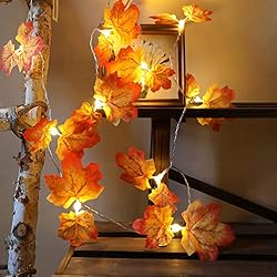 fall leaf string lights