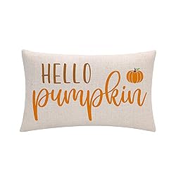 hello pumpkin pillow