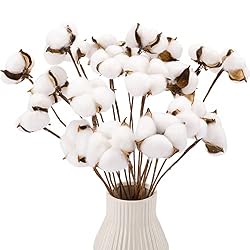 cotton stems