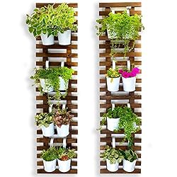 wall planter