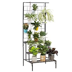 plant stand hanger
