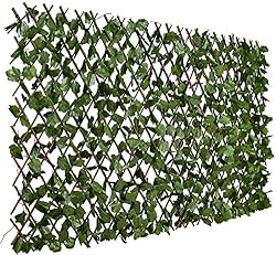 ivy privacy screen