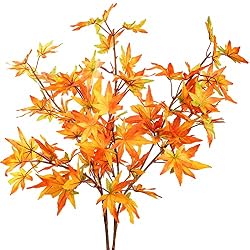 fall leaf stems