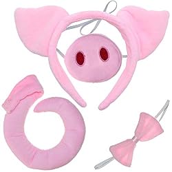 pig costume