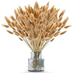 bunny tails
