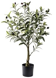 fake olive plant