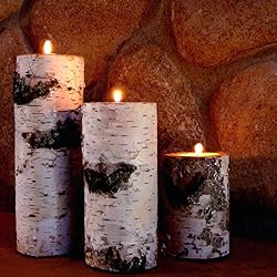 birch candle holders set