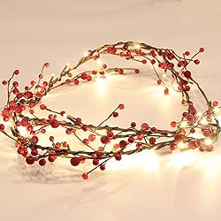 holly berries and fairy lights