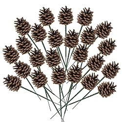 pine cones on a stick