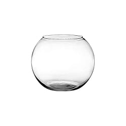 fish bowl vase