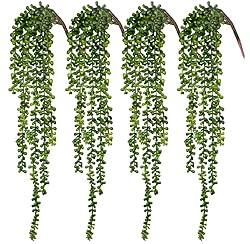 Artificial Succulents