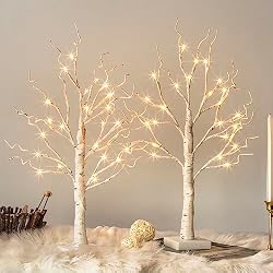 birch tree with lights
