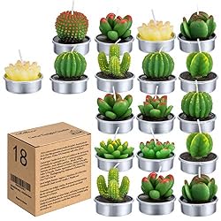 cactus tealight candles