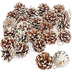 snowy pinecones
