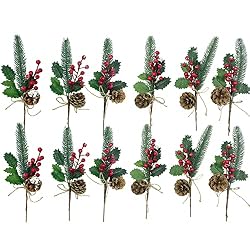 berry twigs