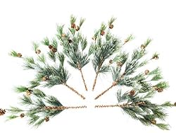 pine twigs