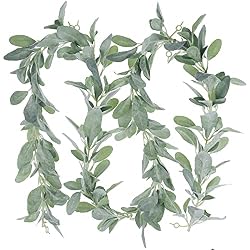 lambs ear greenery