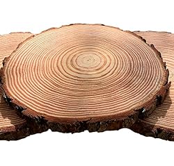 large wood slices