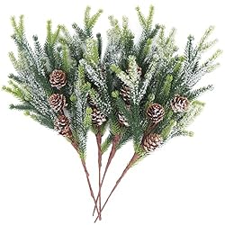 cedar stems with pinecones
