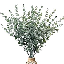 tall eucalyptus stems