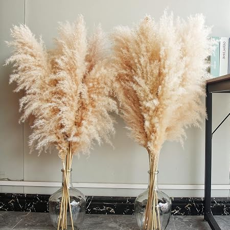 extra tall pampas grass