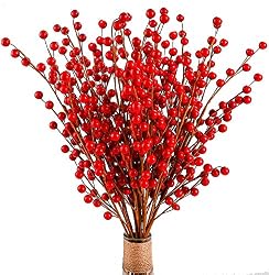 red berry stems