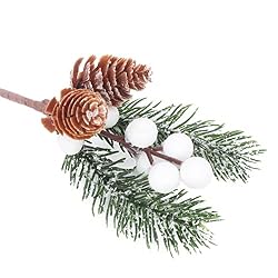 snowy twigs