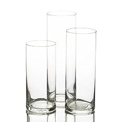 cylinder vases