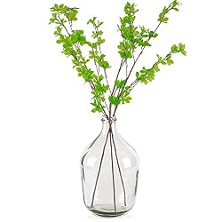 large clear vase