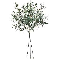 tall olive stems