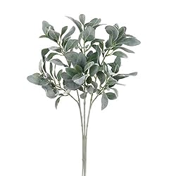 tall lambs ear stems