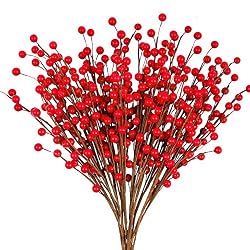red berry twigs