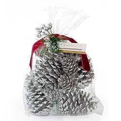 silver pinecones