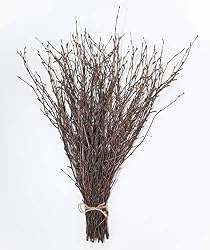 twigs