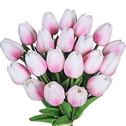 orange tulips
