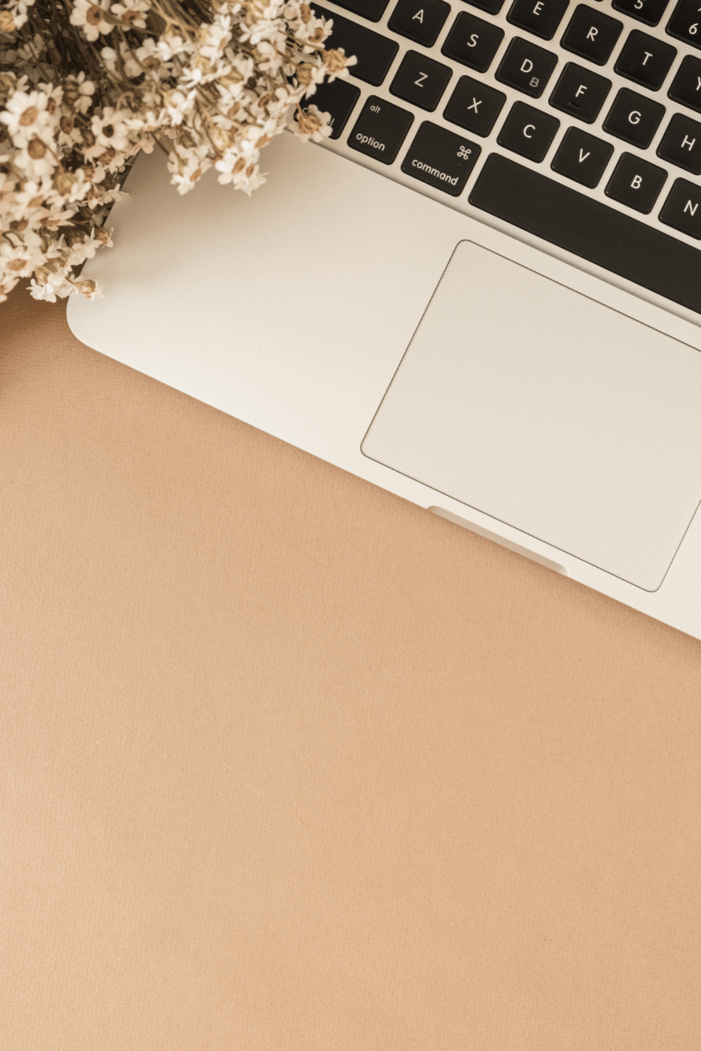 blogging resources