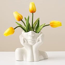 face vase