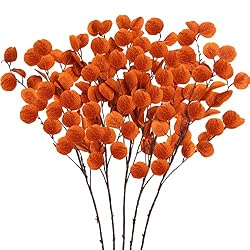 brown silver dollar stems