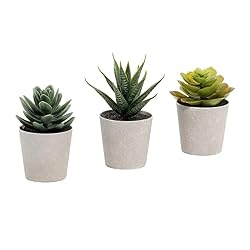 fake mini plants